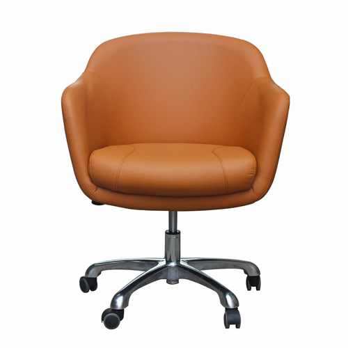 Salon Customer Chair Arm Rest Round 201 Hydraulic Swivel Leather PU Cappuccino