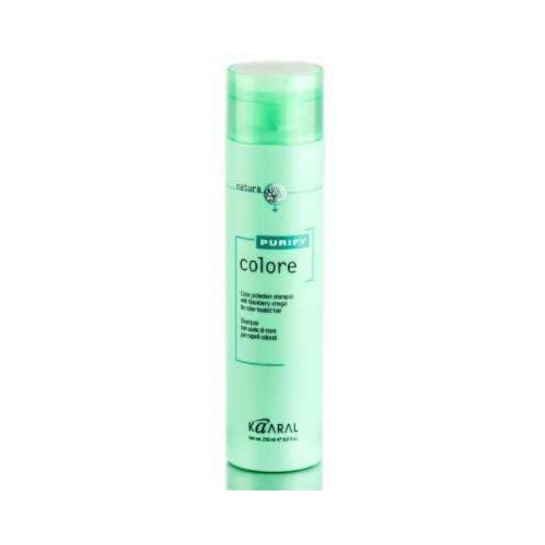 KAARAL - PURIFY Colore - Color Protection Shampoo 300ml (Passion Fruit)